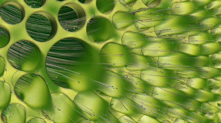 CFD simulations in Simcenter STAR-CCM+
