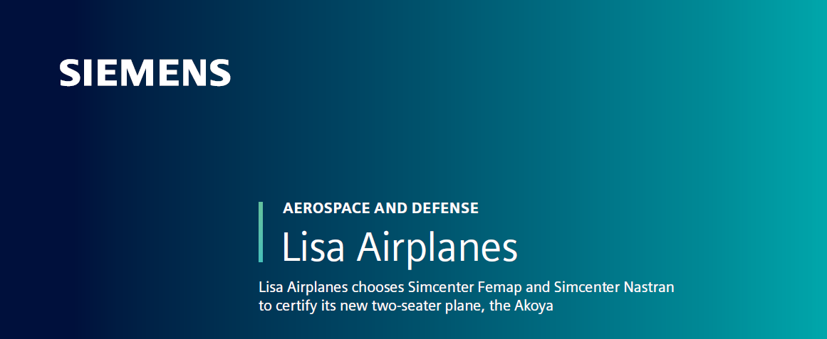 Lisa Airplanes Case Study